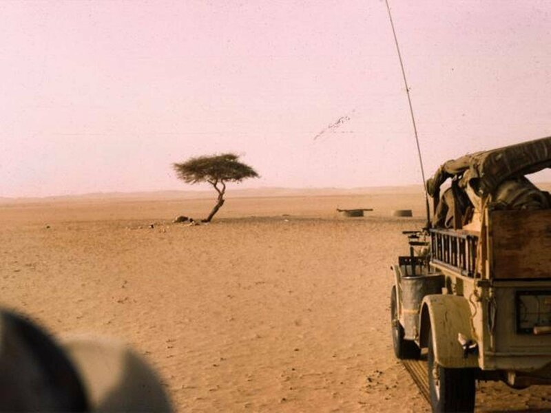 Дерево Тенере  - это одинокая акация, которая росла в пустыне Сахара