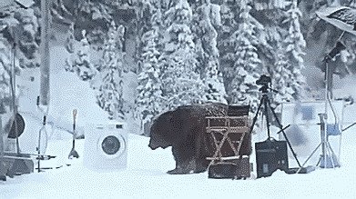 Подборка оригинальных гифок