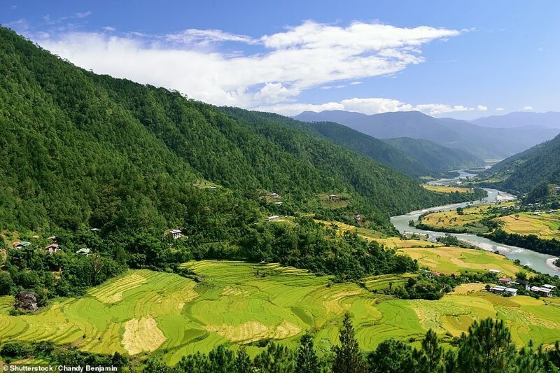 Пунакха - одно из самых живописных мест Бутана с рисовыми полями и лесистыми склонами холмов