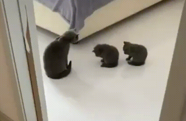 Гифки вякие