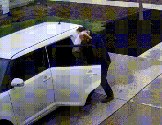 Гифки вякие