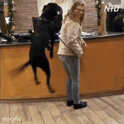 Гифки вякие