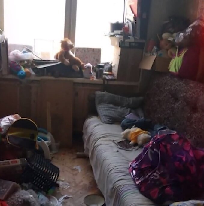 В Петербурге обнаружили 8-летнюю девочку, которая делила квартиру с сотней крыс