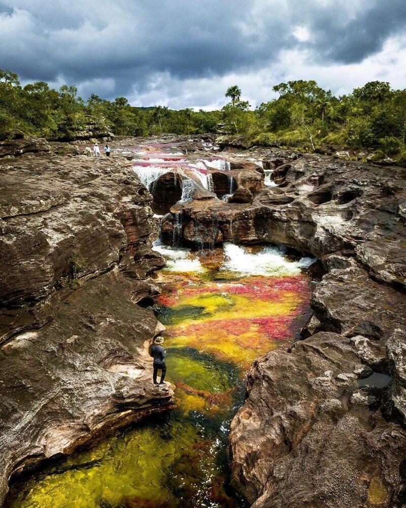 В Колумбии «расцвела» река пяти цветов