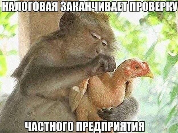 Смешные картинки