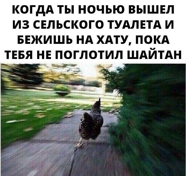 Смешные картинки