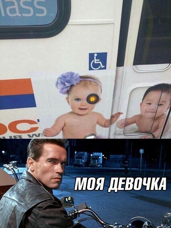 Смешные картинки