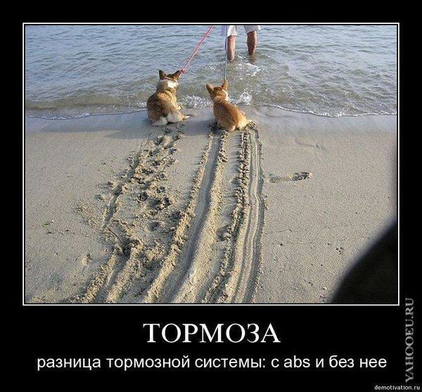 Смешные картинки