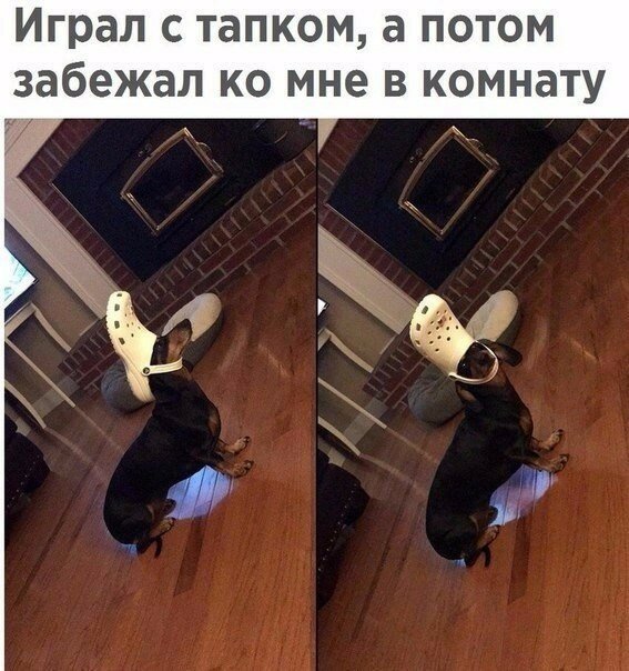 Смешные картинки