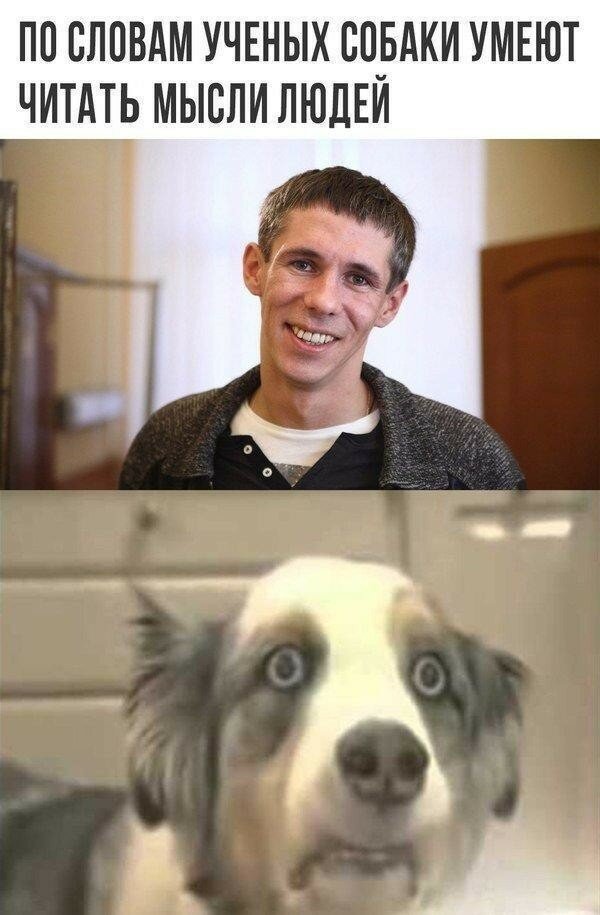 Смешные картинки