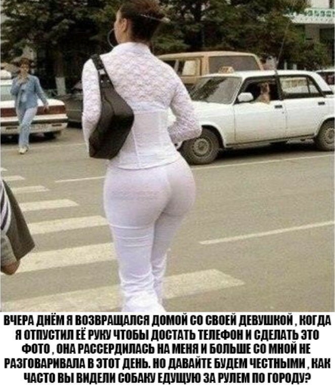 Смешные картинки