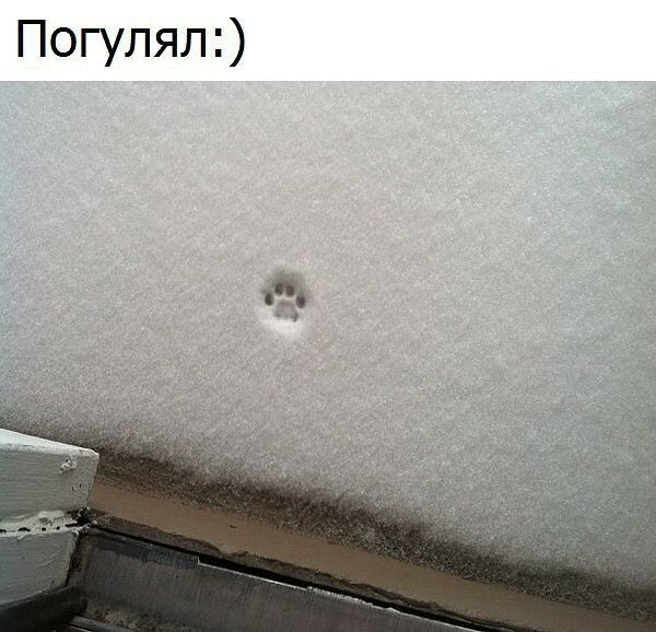 Смешные картинки