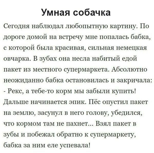 Смешные картинки