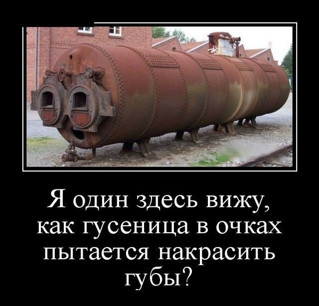 Смешные картинки