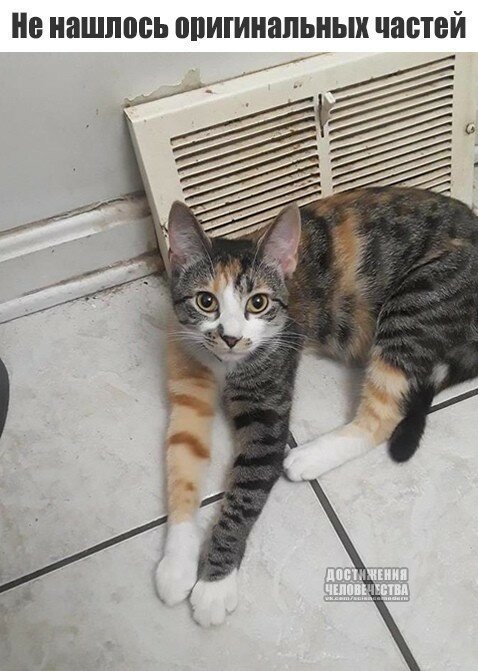 Смешные картинки