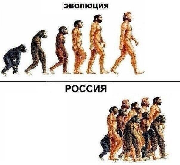 Смешные картинки