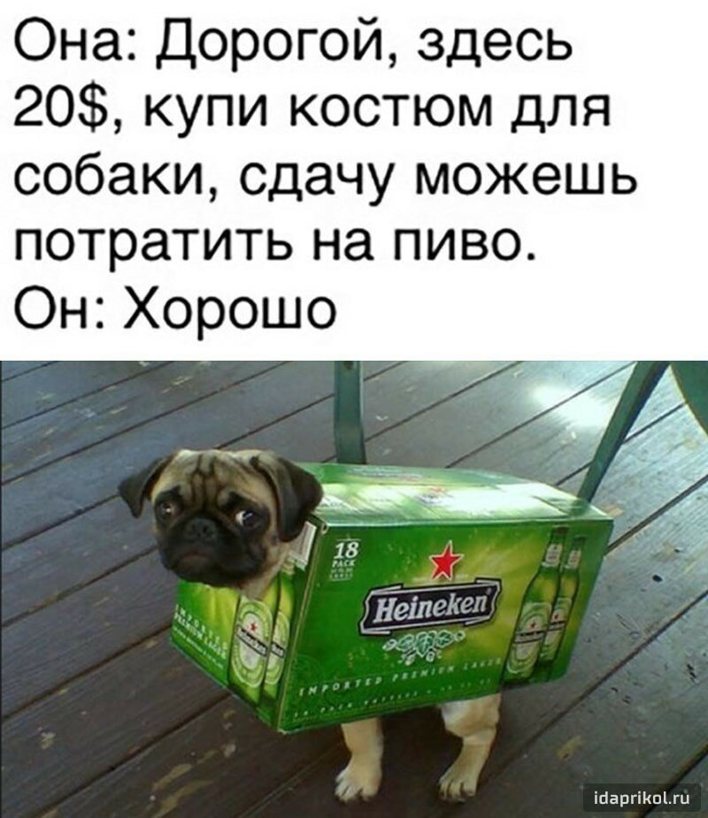 Смешные картинки