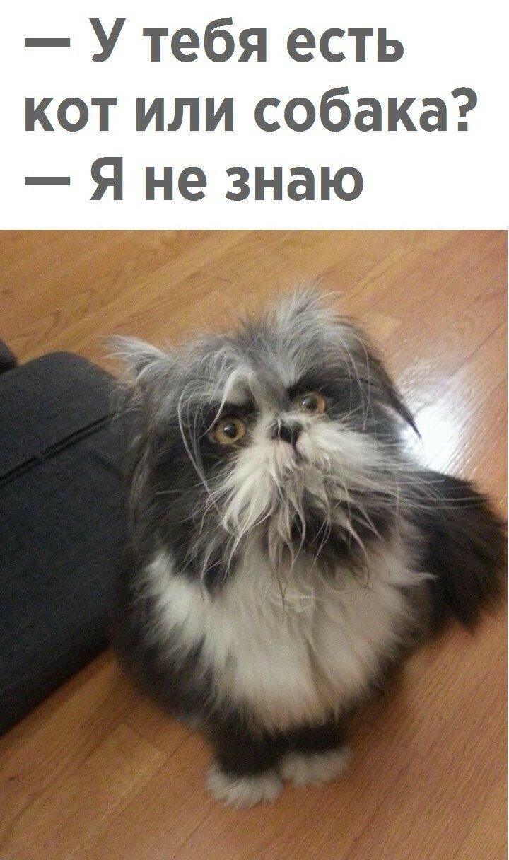 Смешные картинки