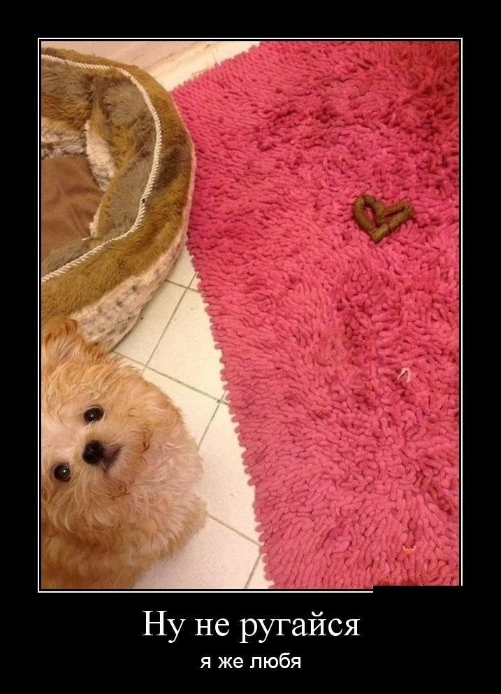 Смешные картинки