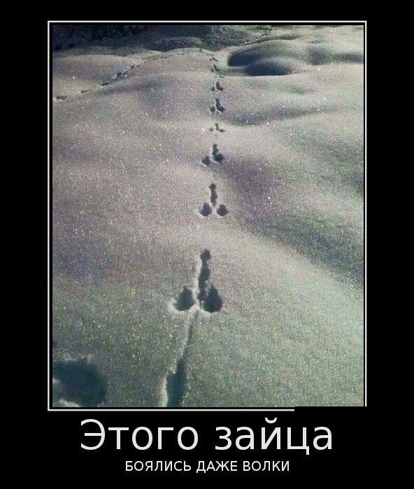 Смешные картинки