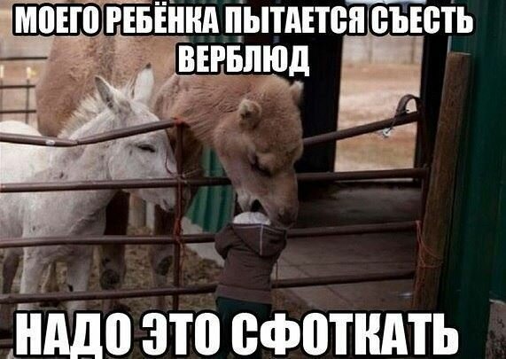 Смешные картинки