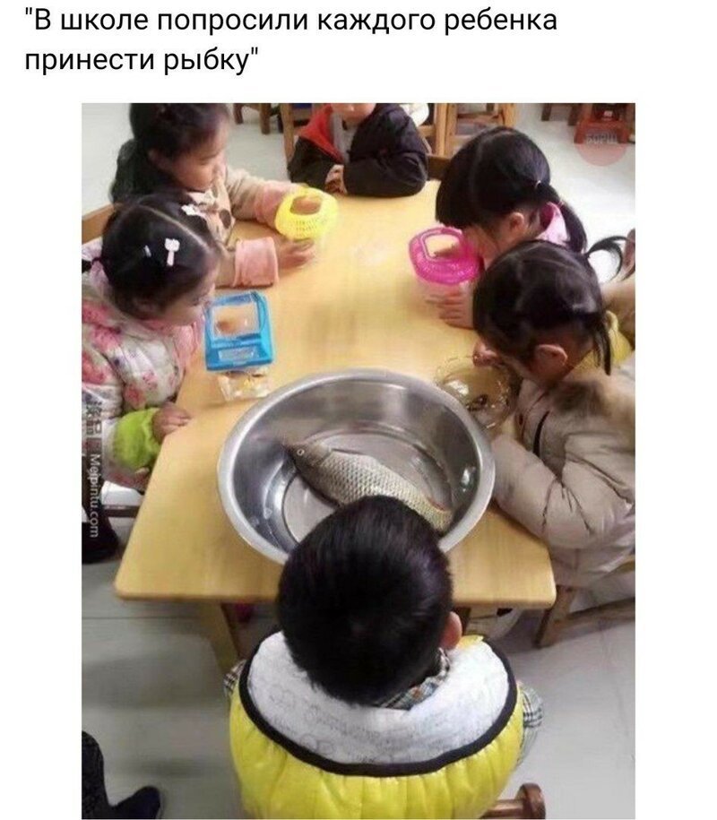 Смешные картинки