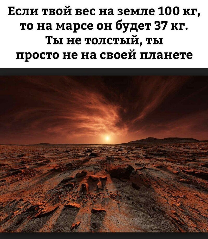 Смешные картинки