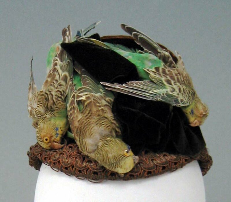 Шляпа с попугайчиками, 1890