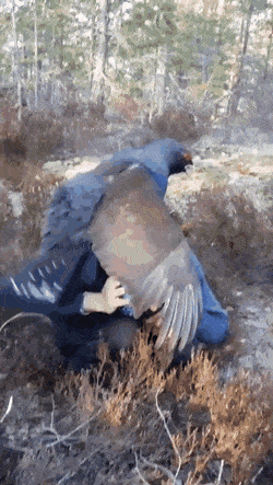 Что тут происходит