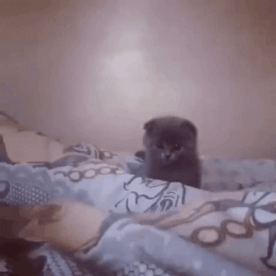 Гифки всякие