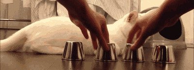 Гифки всякие