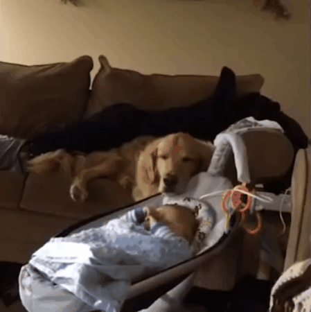 Лучшая няня для младенца