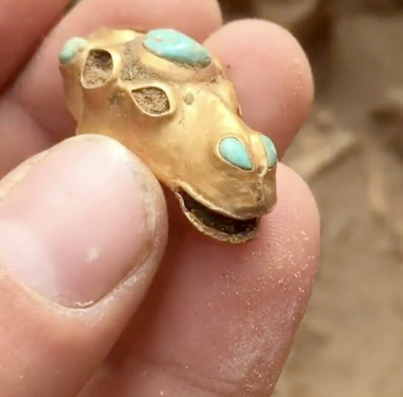 Золотая голова верблюда с бирюзой, найденная в погребальной яме вождя