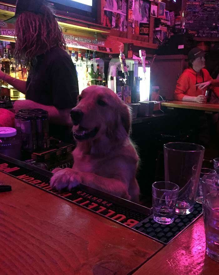 38. "Лучший бармен на районе!"