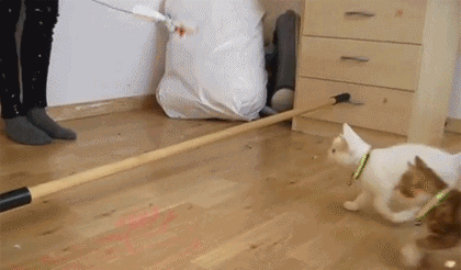 Гифки всякие