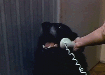 Гифки всякие