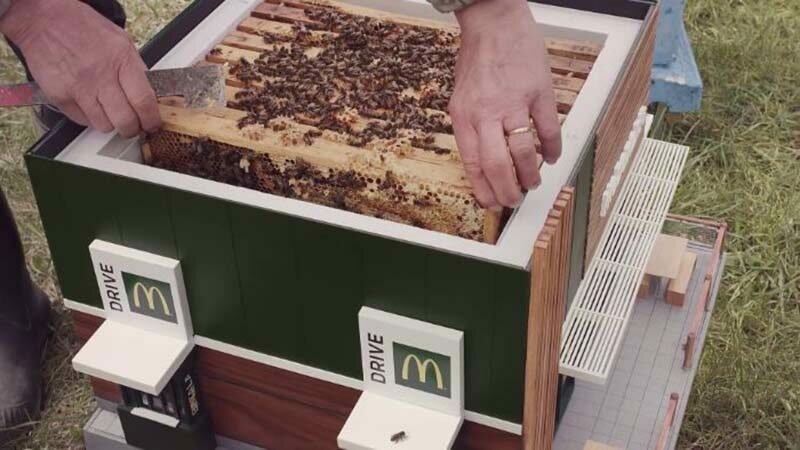 McDonald's открыли миниатюрный ресторан для пчёл