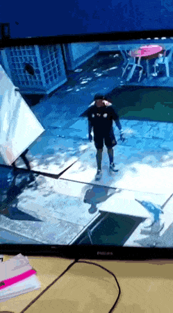 Гифки всякие