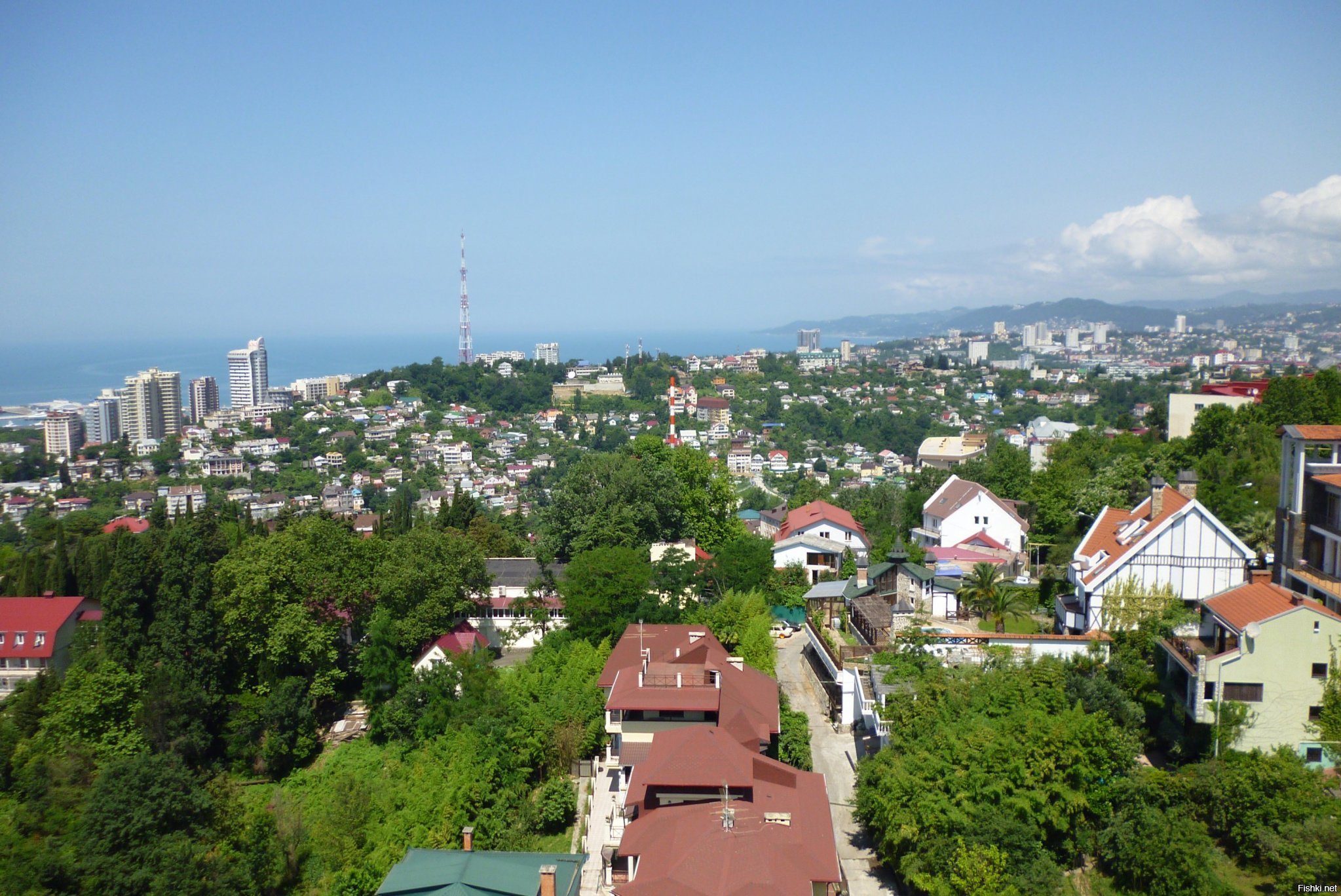 Район сочи светлана фото