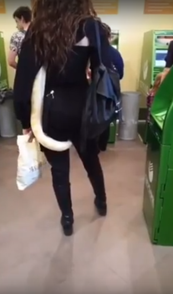 "С подружкой пришла!": в банке Черкесска заметили посетительницу со змеей между ног