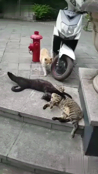 Застала с любовницей