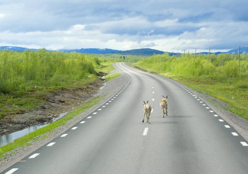 Почему финские дороги лучше наших?