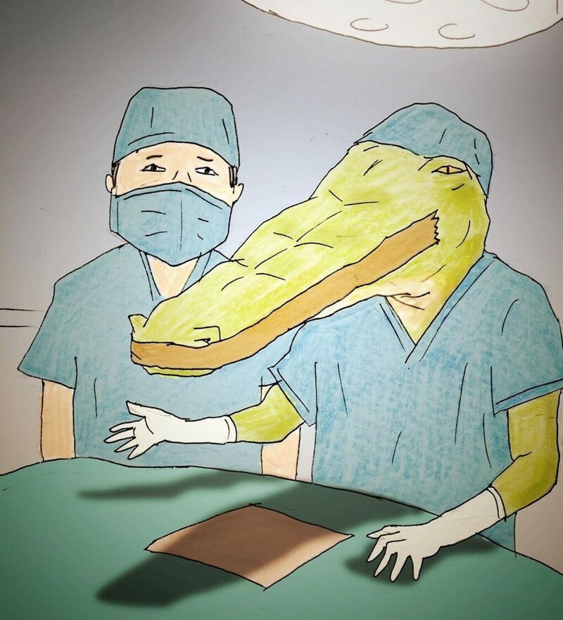24. Крокодил-хирург