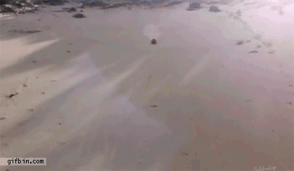 Летние гифки Летние гифки