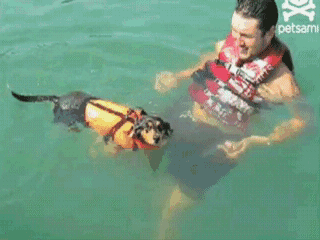 Летние гифки Летние гифки