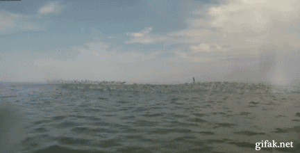 Летние гифки Летние гифки