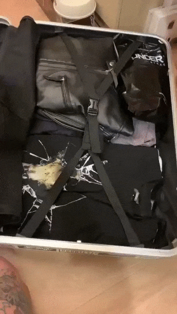 Кот не хочет оставаться один дома Кот не хочет оставаться один дома