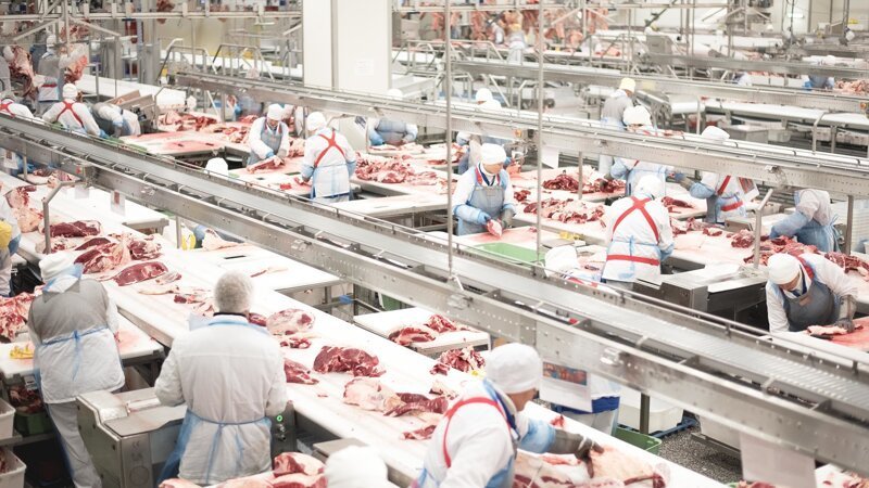 РФ получила право на экспорт молочной продукции, говядины и говяжьих субпродуктов в Алжир