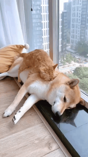 Остается лишь примириться с судьбой