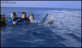 Летние гифки